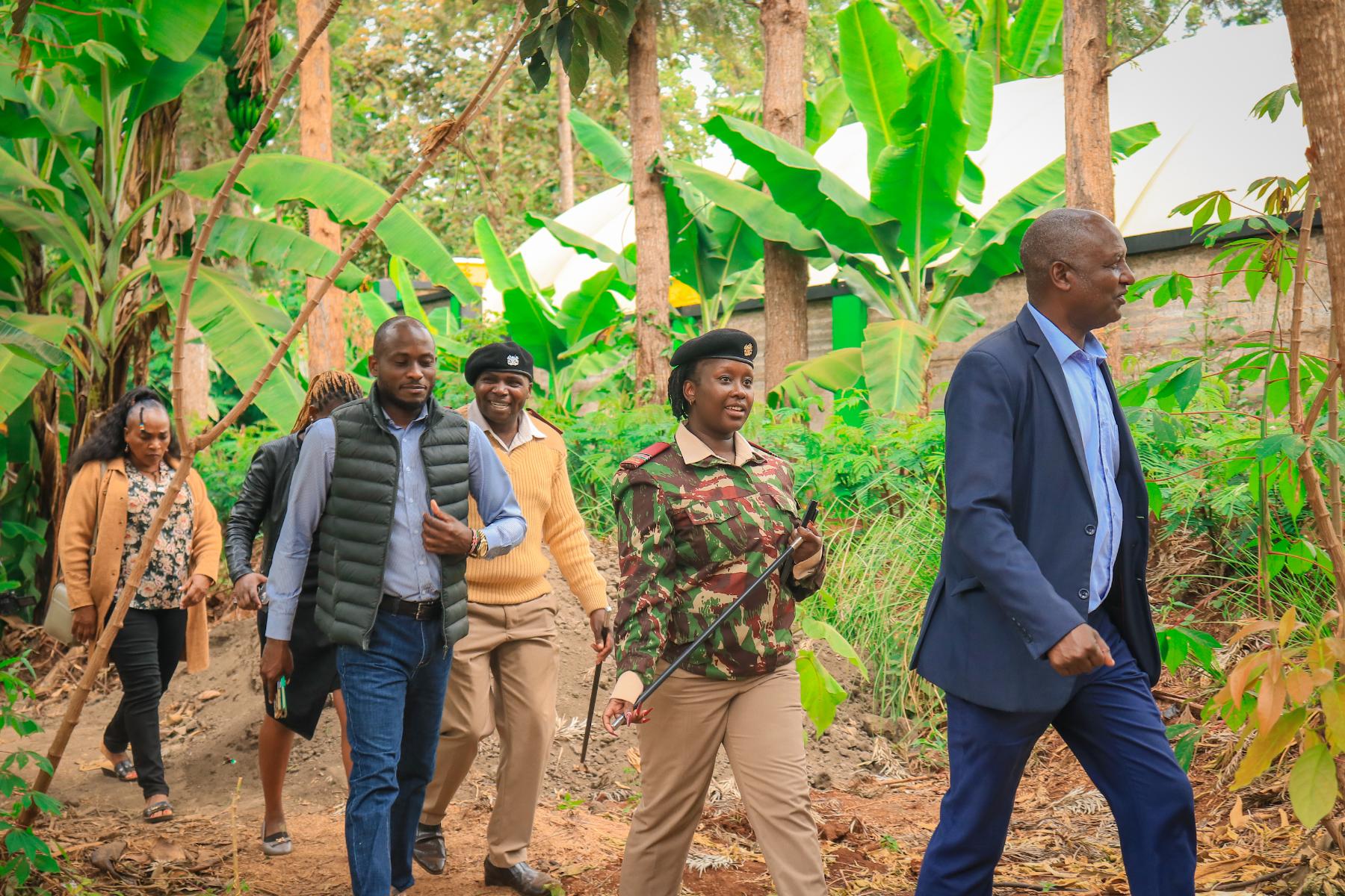 Mau Forest Restoration