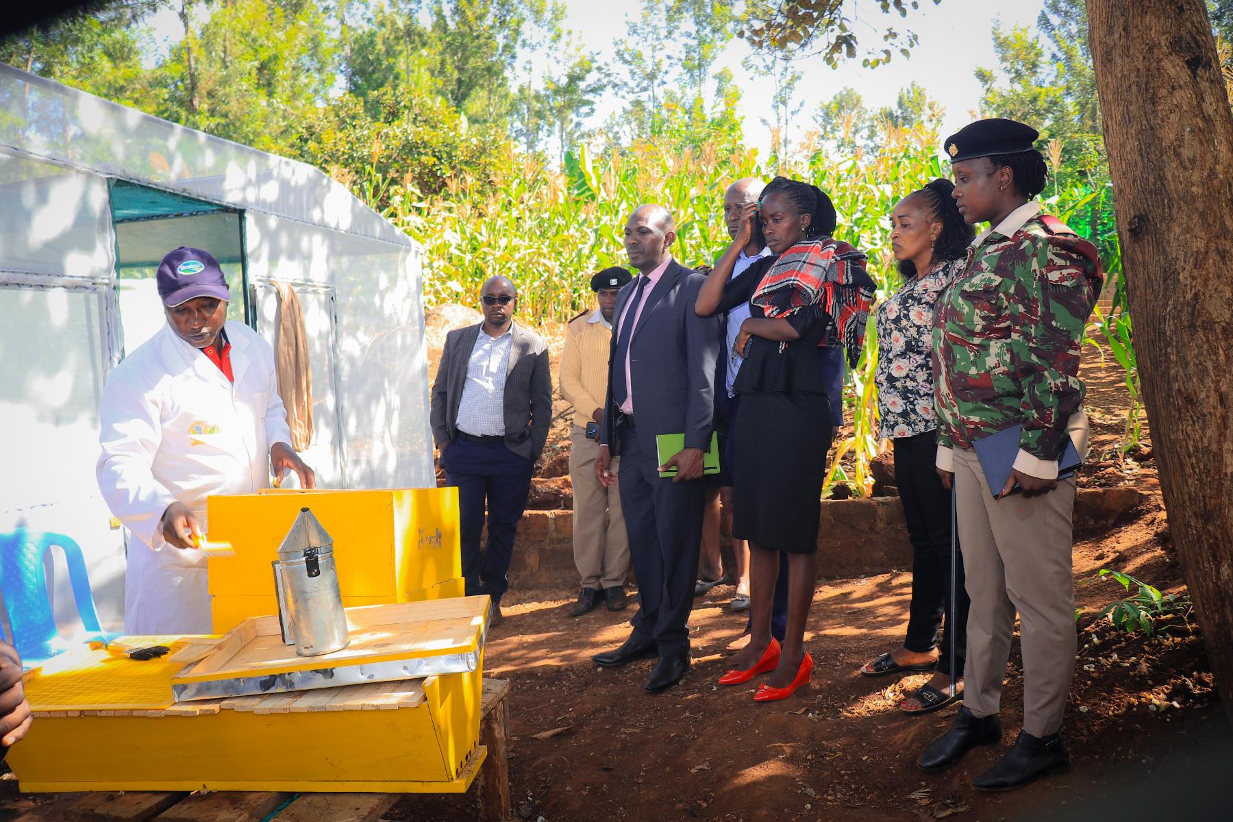 Nairobi Green Belt Initiative
