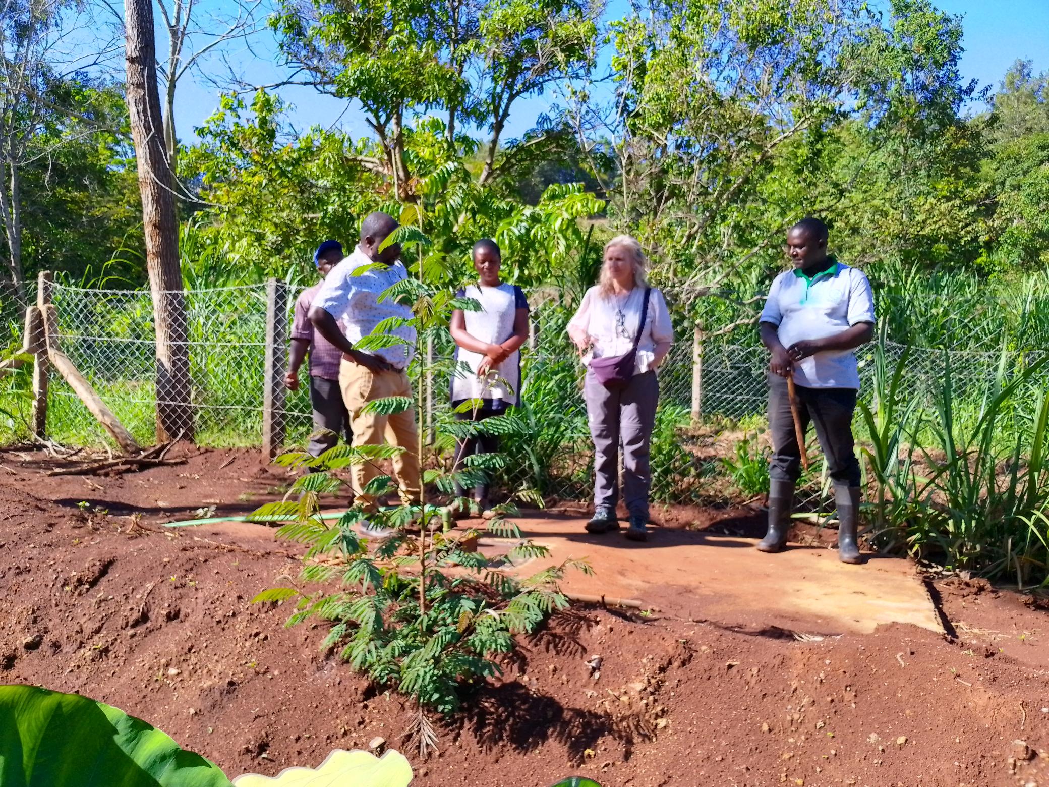 Smart Agriculture and Agroforestry