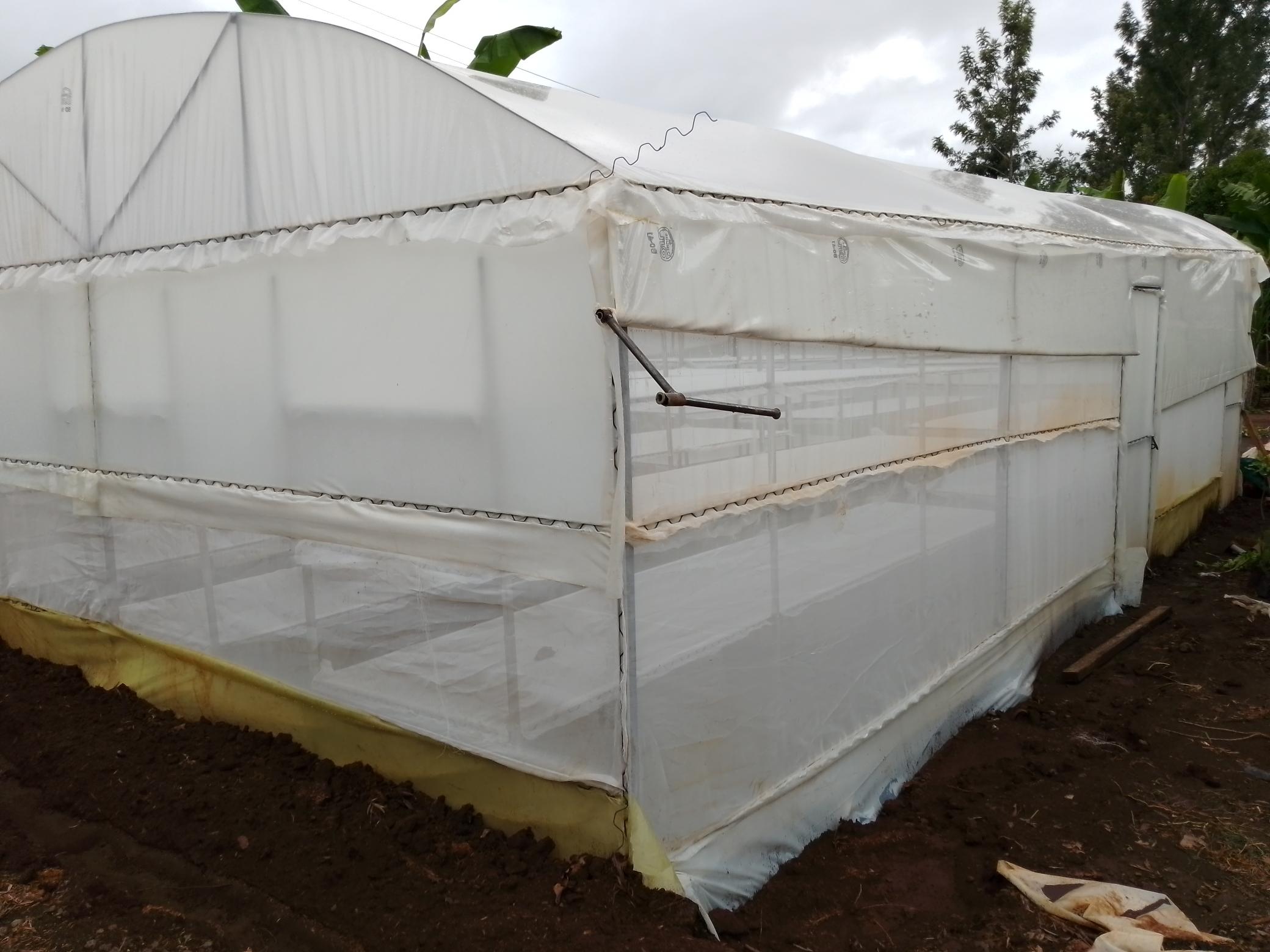 Solar Drying